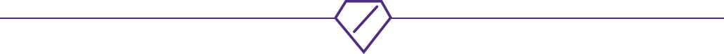 Section Divider Logo