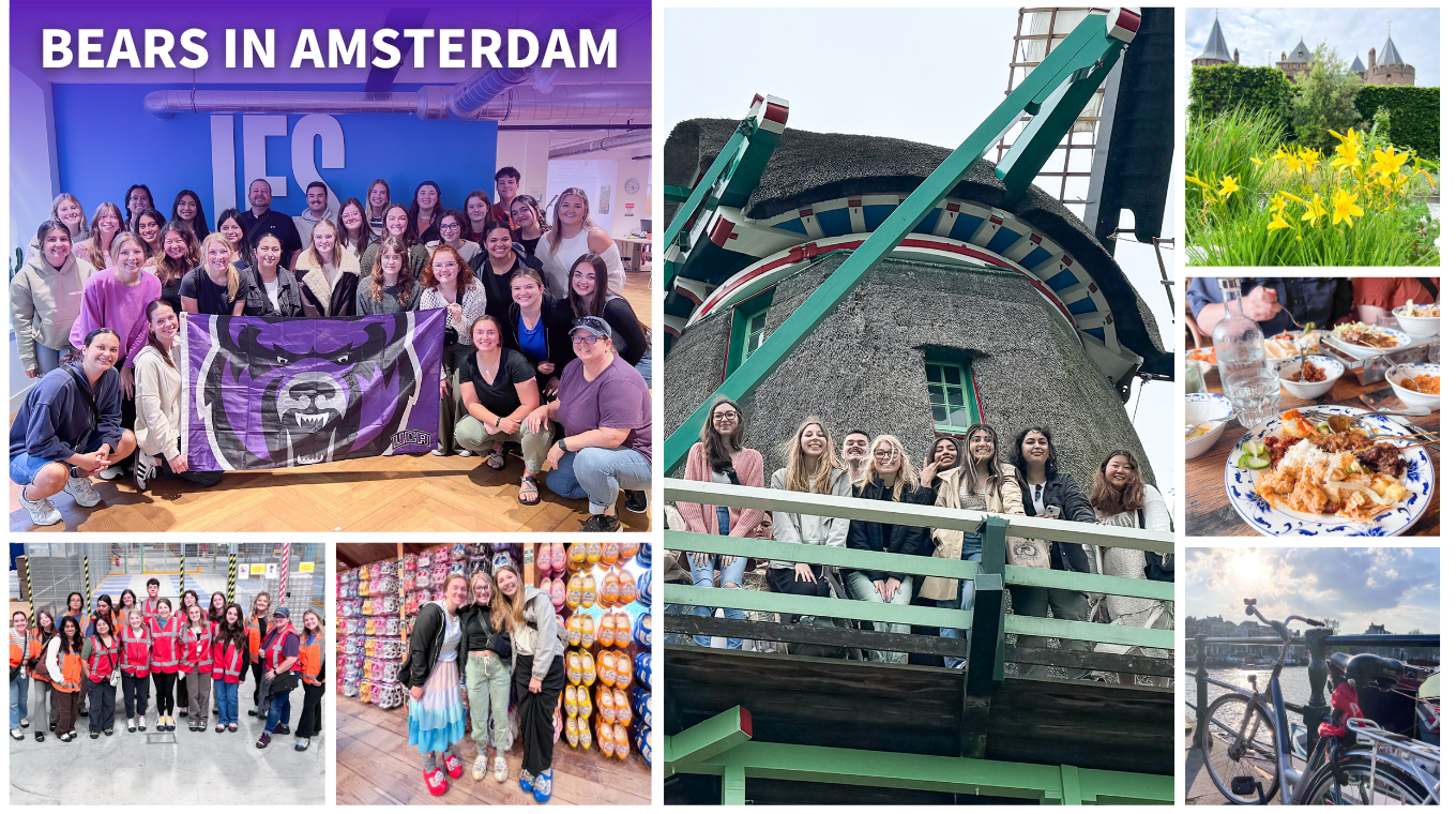 Study Abroad Amsterdam