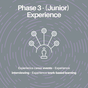 3rd Year (Junior) - Experience