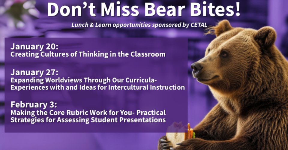 Brown bear eating a sandwich