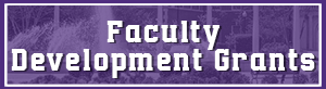 faculty development grants