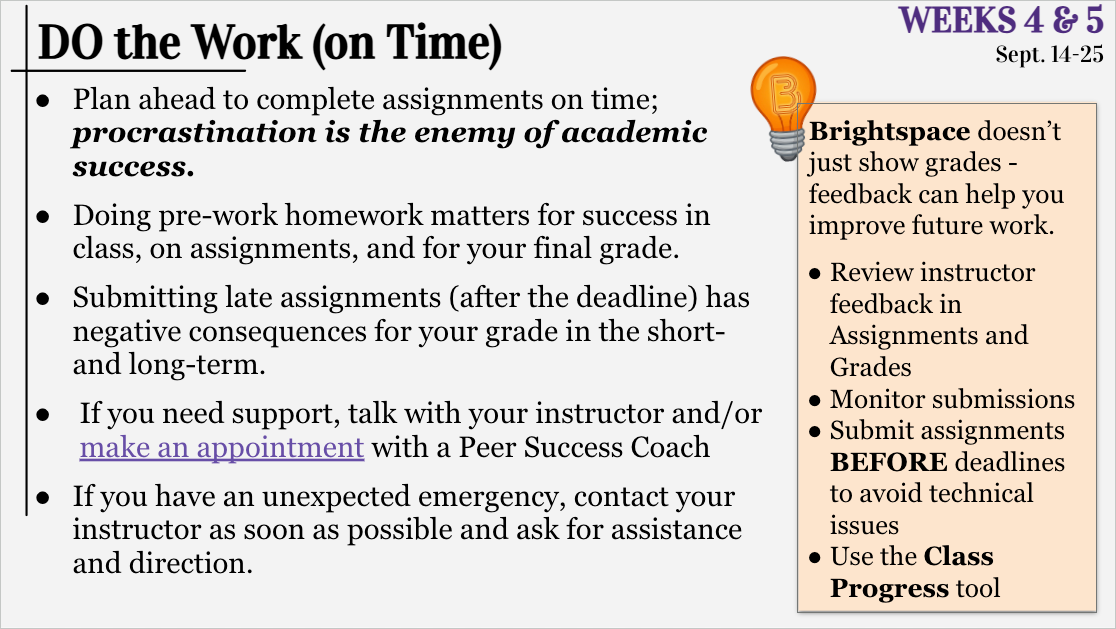 Faculty for Successful Students Slide for Weeks 2 & 3. Plan Your time.