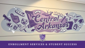 Designer, Strategist, and Muralist Lindsey Witting Barnum