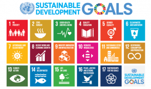 17 squares of the United Nations sustainable development goals 