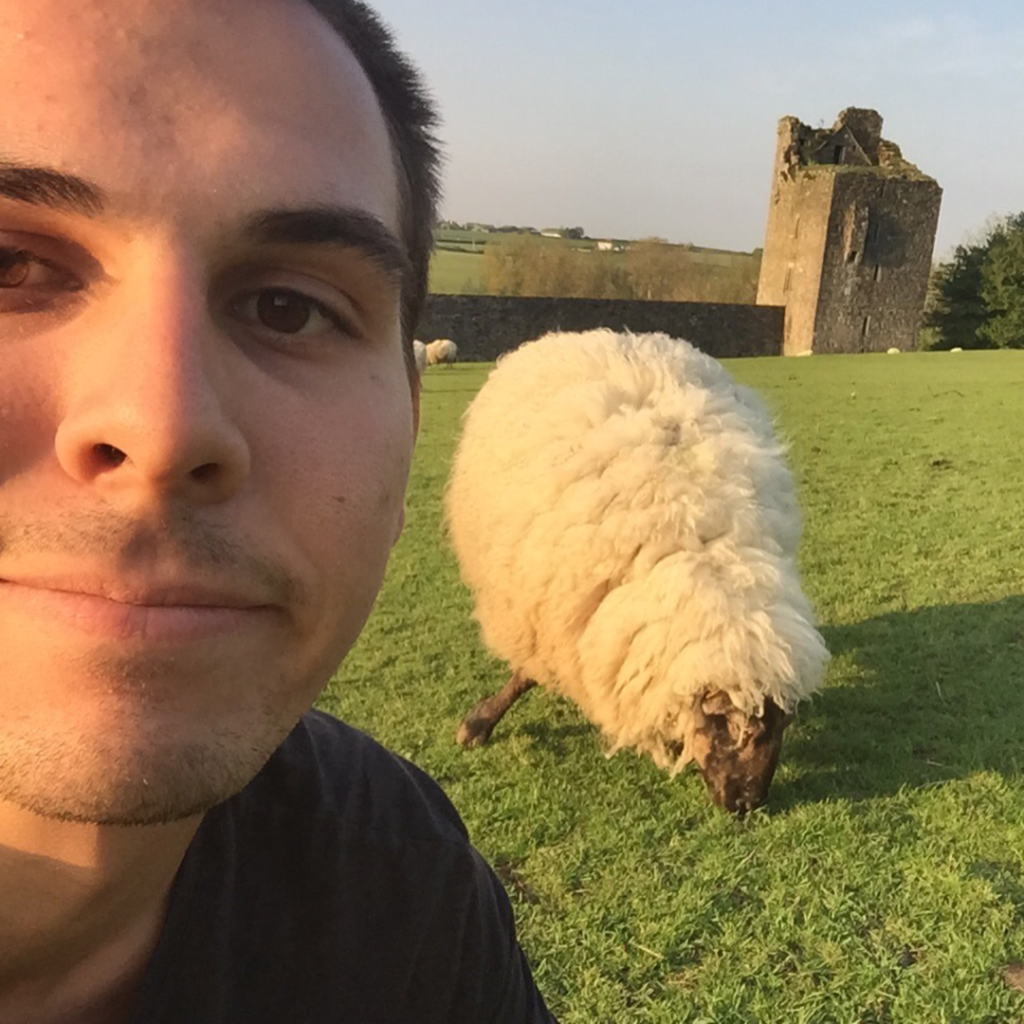 An Irish Perspective: Religion, War, and Politics in Ireland by Seth Wilson