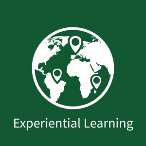 Experiential Learning