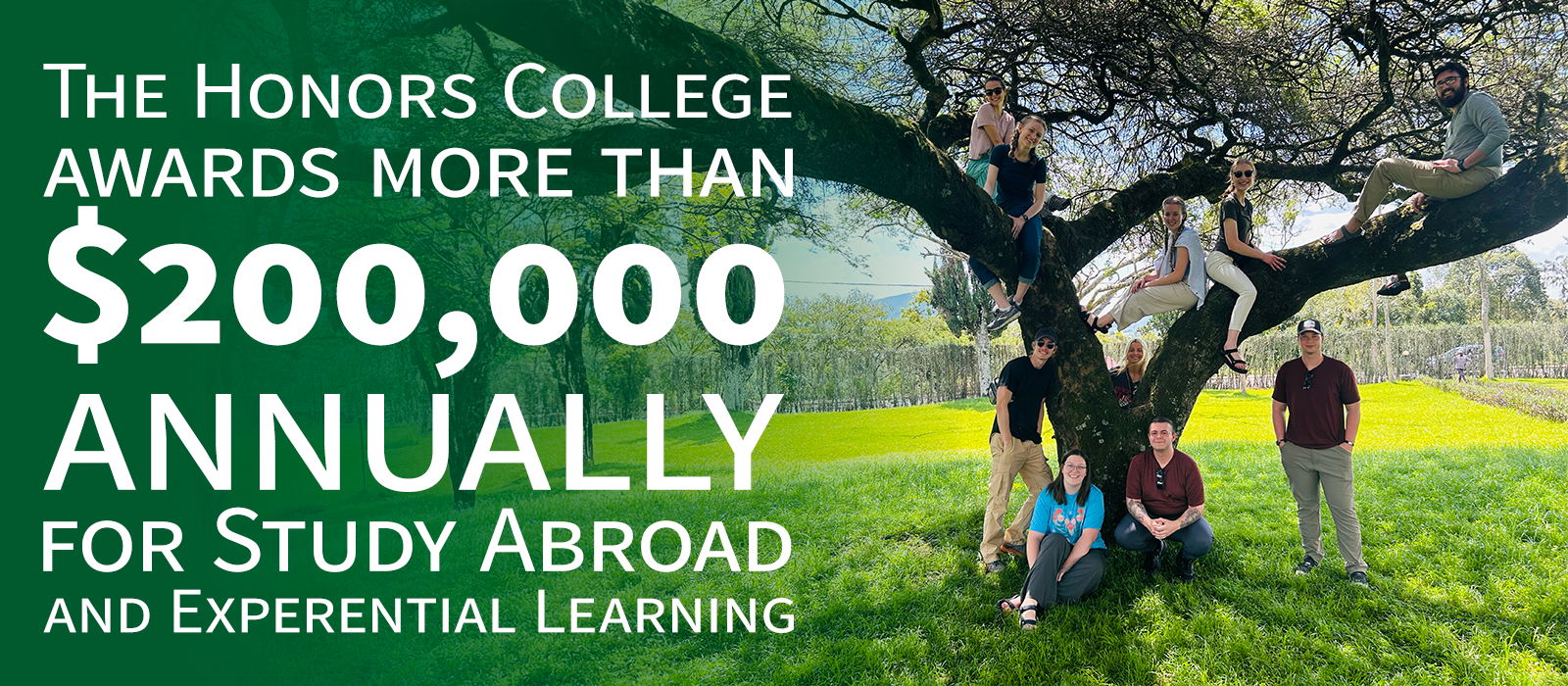 annual study abroad total