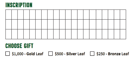 Image showing gold leaf $1,000, silver leaf $500, and bronze leaf $250