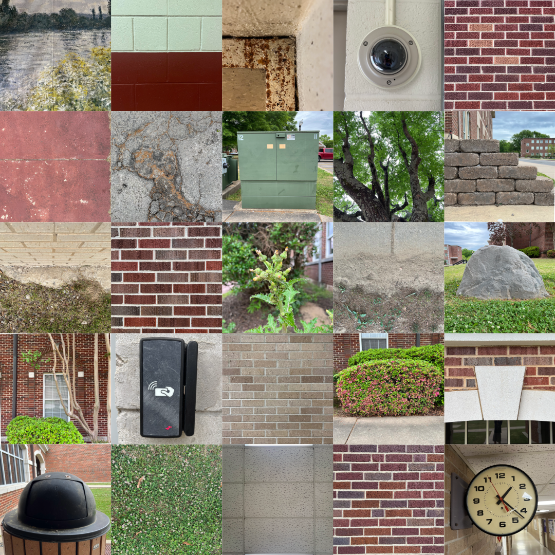 collage of images