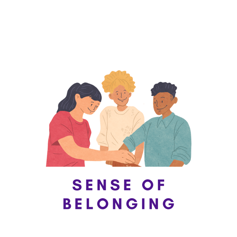 image; survey area sense of belonging