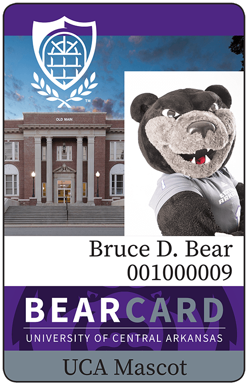 Bear Partners Bear Card