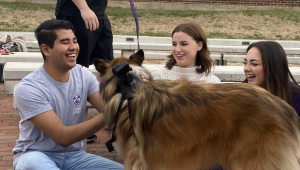 UCA therapy dog brighten students’ days