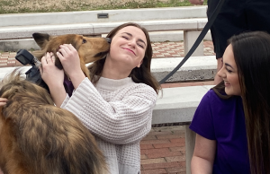 Therapy dog licks student's face