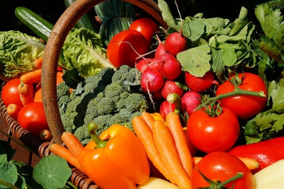 Start Your Own Edible Garden