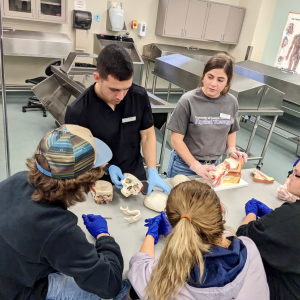 students in lab