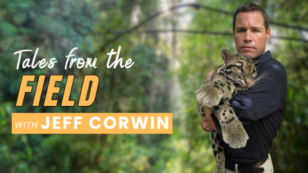 TALES FROM THE FIELD WITH JEFF CORWIN