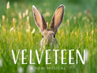 A picture of Velveteen the Rabbit