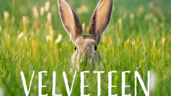 Velveteen, A New Musical
