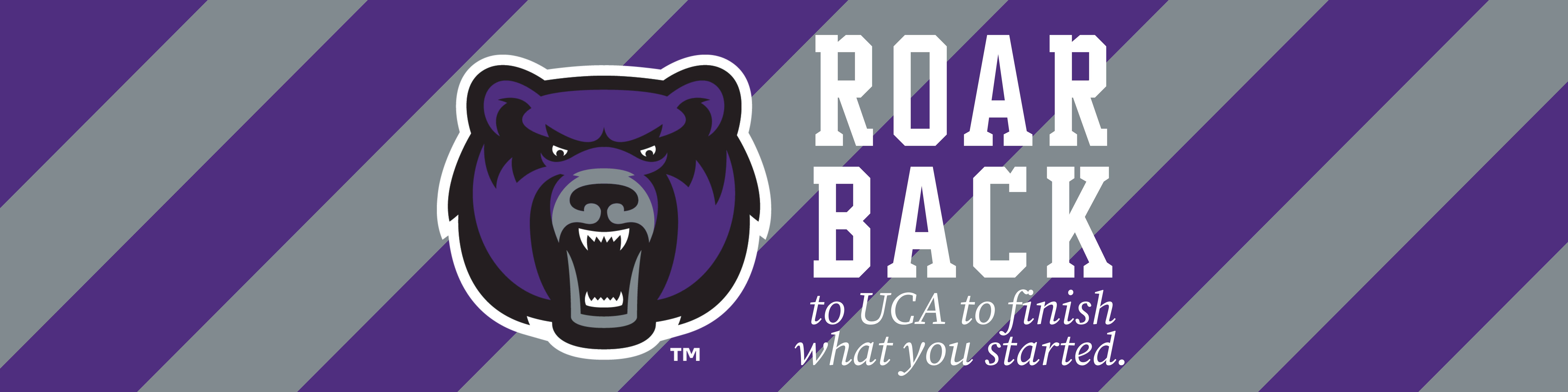 Uca Bears Under Forms