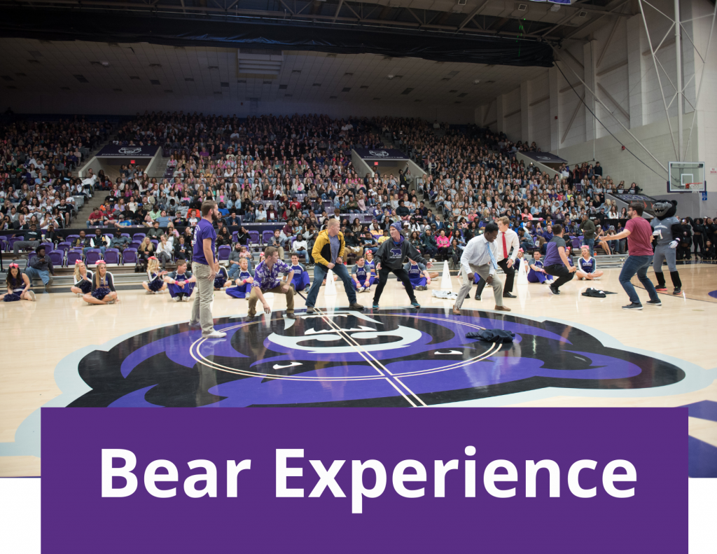 Bear Experience