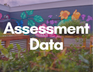 Button to website with Division of Student Affairs Assessment data