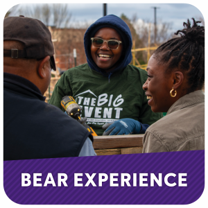 Bear Experience