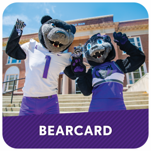 BearCard