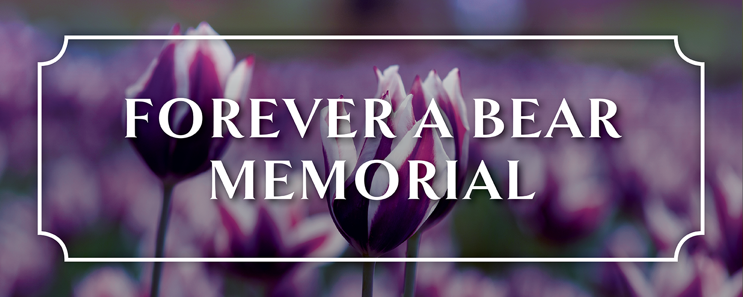 Forever a Bear Memorial Graphic