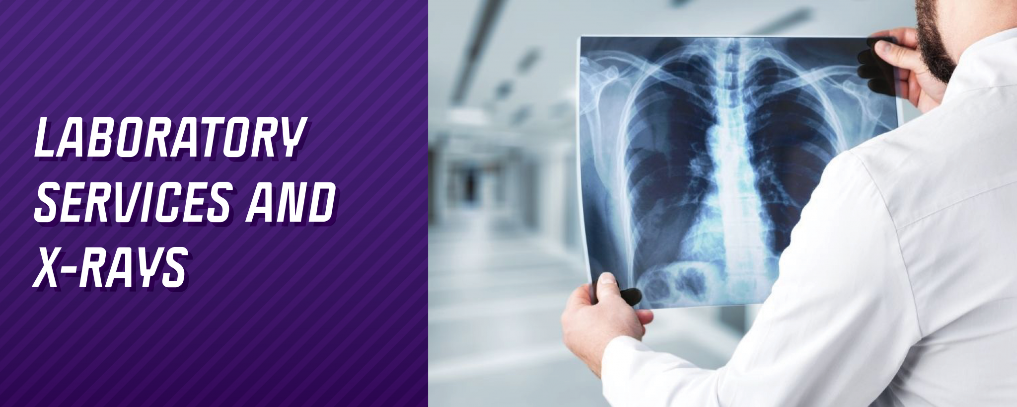 Laboratory Services and X-Rays. Physician is reviewing an x-ray of a patient's chest